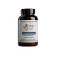 Energy & Focus Capsules